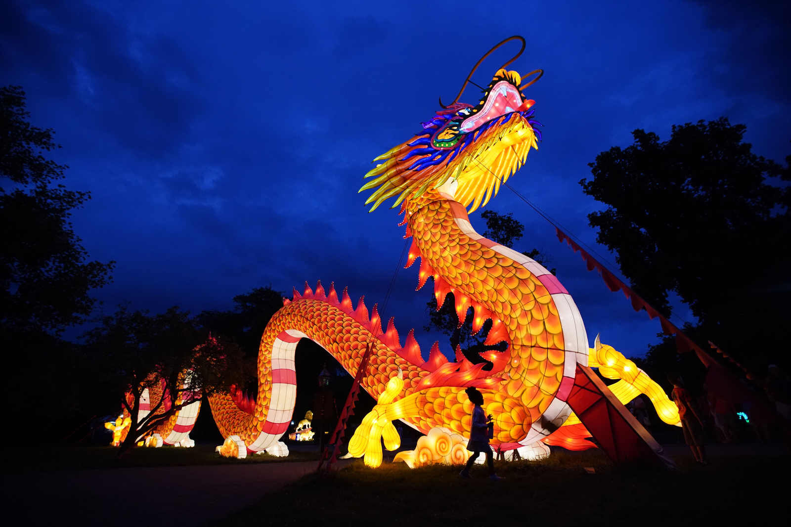 Dragon at dusk